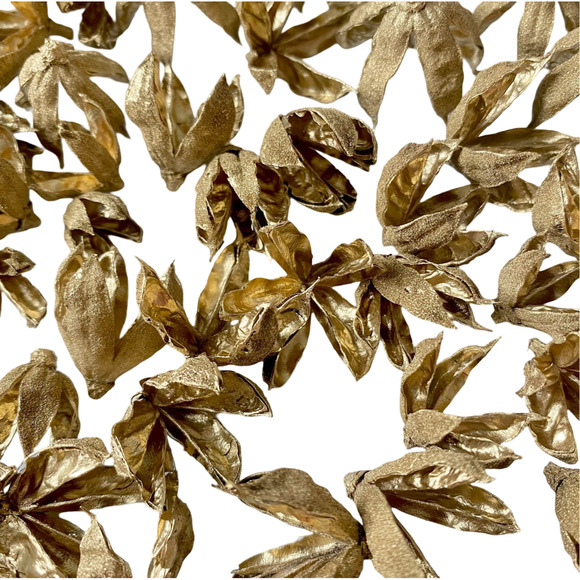 Dried Gold flowers | homegrown and handmade preserved Hibiscus seed pods - Picture 5 of 8